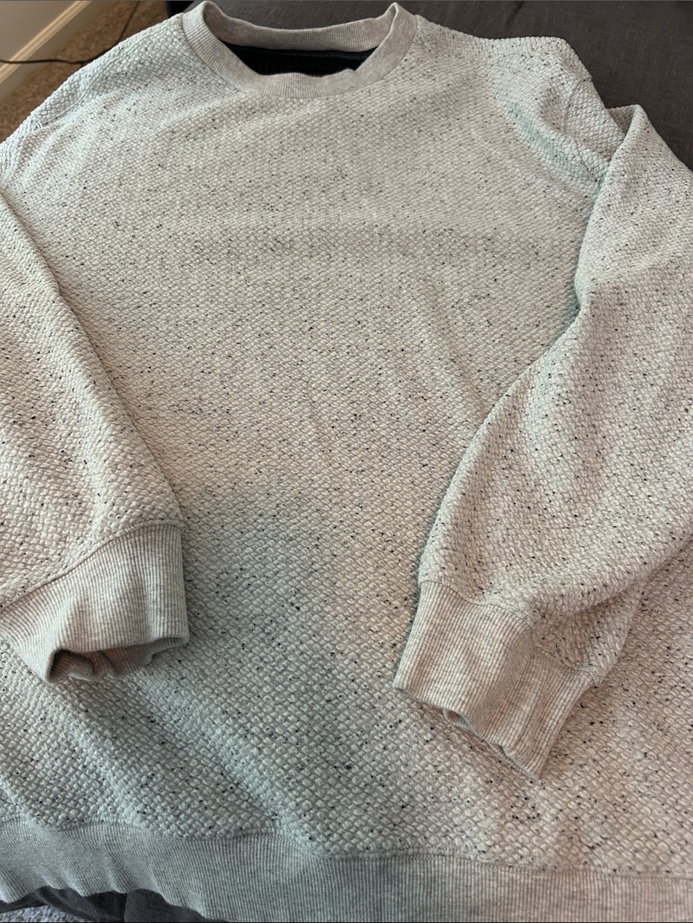 Men's Textured Crewneck Sweatshirt in Light Gray